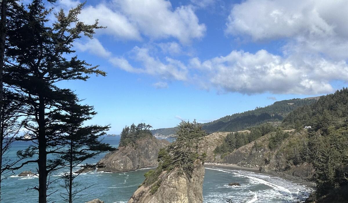 Oregon Coat North of Brookings